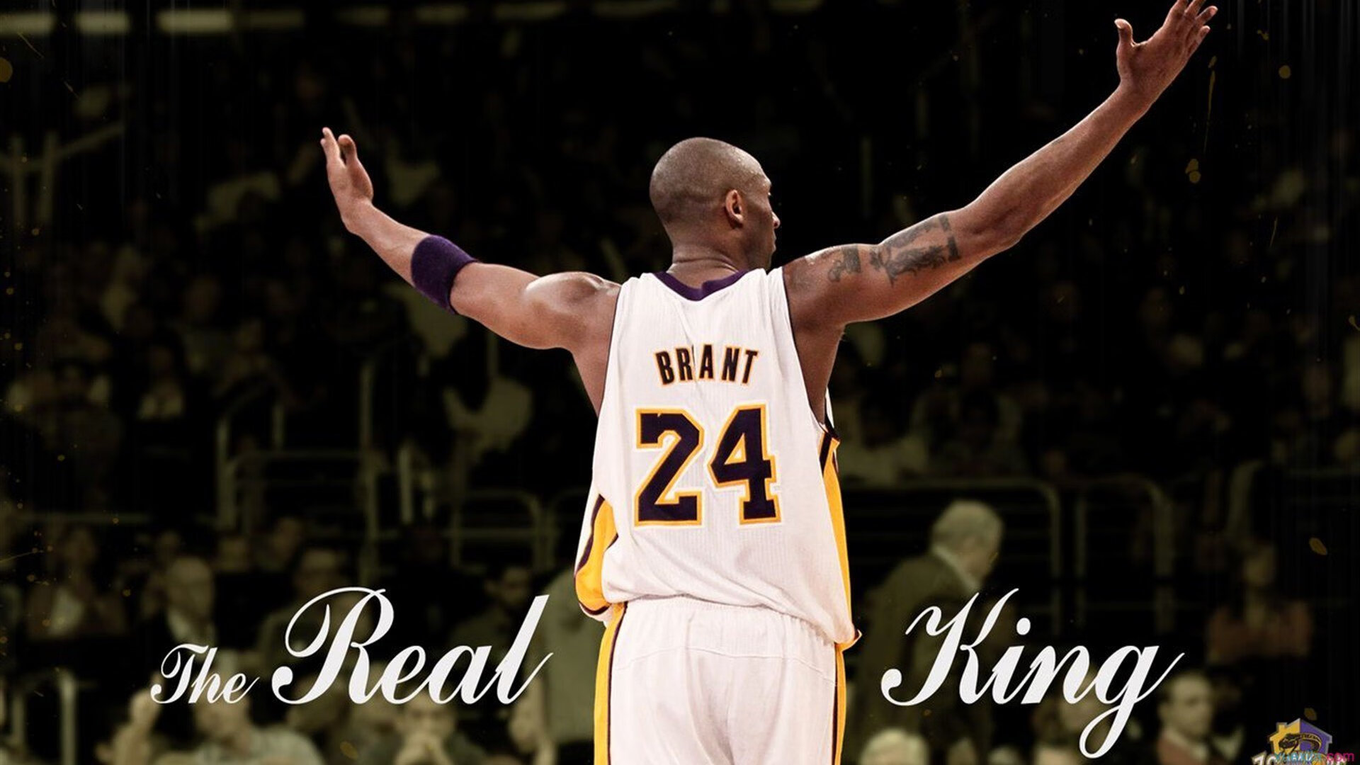 世界篮联主席访谈：国际赛事未来布局揭秘，世界篮球联合会